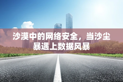 沙漠中的网络安全，当沙尘暴遇上数据风暴
