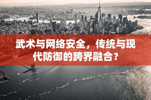 武术与网络安全，传统与现代防御的跨界融合？