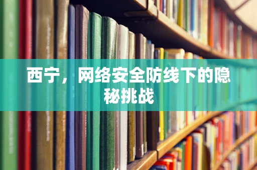 西宁，网络安全防线下的隐秘挑战