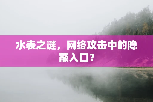水表之谜，网络攻击中的隐蔽入口？