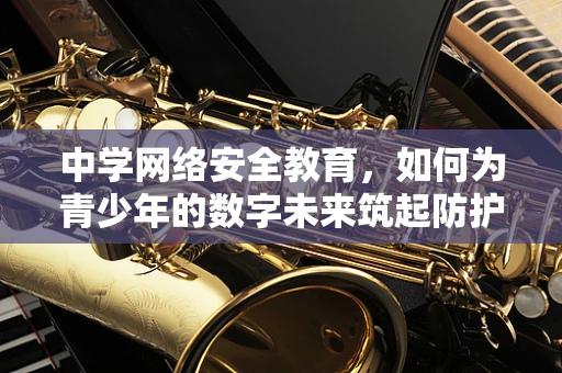 中学网络安全教育，如何为青少年的数字未来筑起防护墙？
