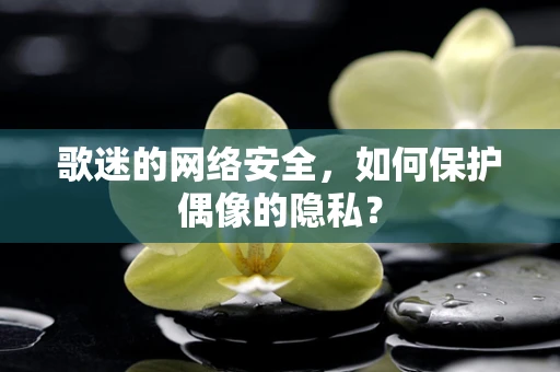 歌迷的网络安全，如何保护偶像的隐私？