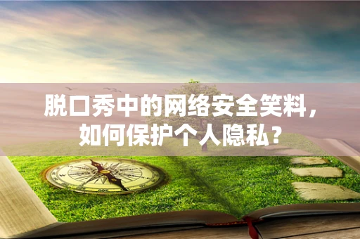 脱口秀中的网络安全笑料，如何保护个人隐私？