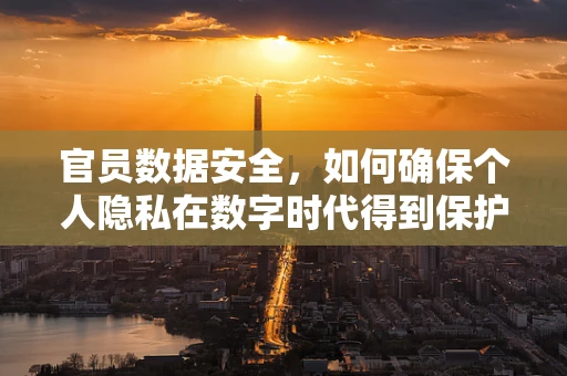 官员数据安全，如何确保个人隐私在数字时代得到保护？