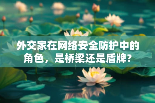 外交家在网络安全防护中的角色，是桥梁还是盾牌？