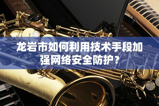 龙岩市如何利用技术手段加强网络安全防护？