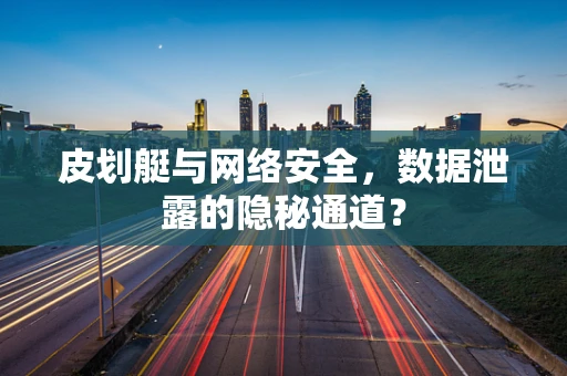 皮划艇与网络安全，数据泄露的隐秘通道？