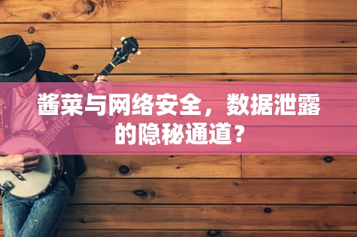 酱菜与网络安全，数据泄露的隐秘通道？