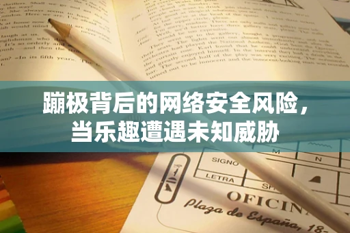 蹦极背后的网络安全风险，当乐趣遭遇未知威胁