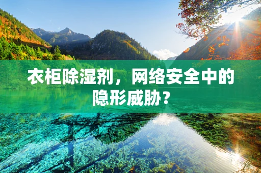 衣柜除湿剂，网络安全中的隐形威胁？