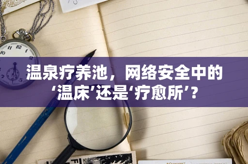 温泉疗养池，网络安全中的‘温床’还是‘疗愈所’？