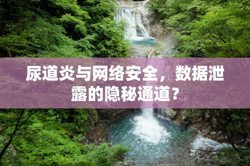 尿道炎与网络安全，数据泄露的隐秘通道？