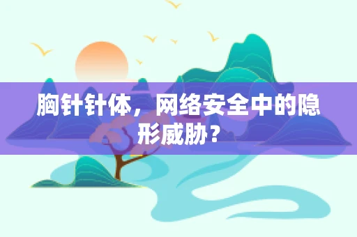 胸针针体，网络安全中的隐形威胁？