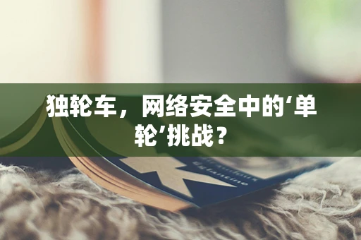独轮车，网络安全中的‘单轮’挑战？