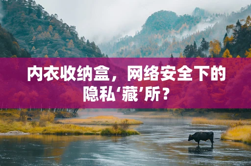 内衣收纳盒，网络安全下的隐私‘藏’所？