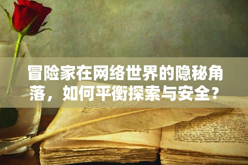 冒险家在网络世界的隐秘角落，如何平衡探索与安全？