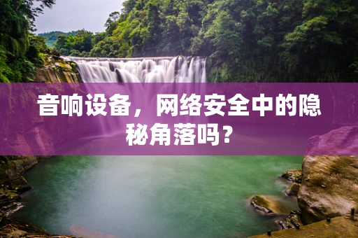 音响设备，网络安全中的隐秘角落吗？