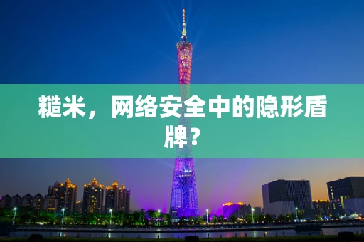 糙米，网络安全中的隐形盾牌？