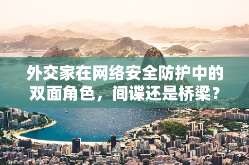 外交家在网络安全防护中的双面角色，间谍还是桥梁？