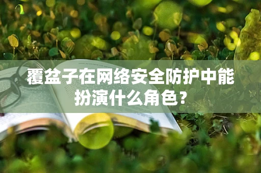 覆盆子在网络安全防护中能扮演什么角色？