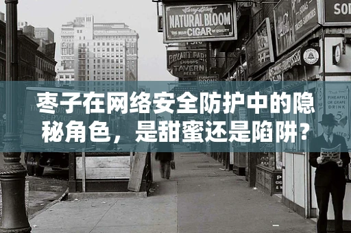 枣子在网络安全防护中的隐秘角色，是甜蜜还是陷阱？