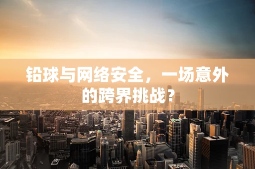铅球与网络安全，一场意外的跨界挑战？