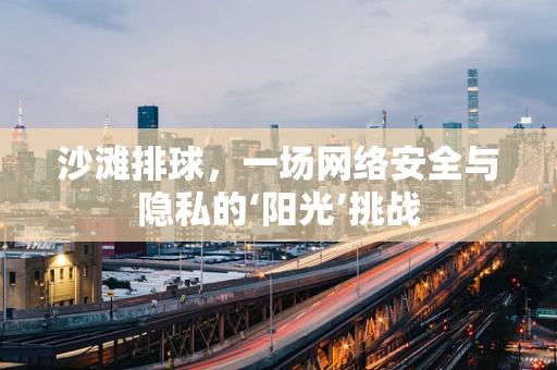 沙滩排球，一场网络安全与隐私的‘阳光’挑战