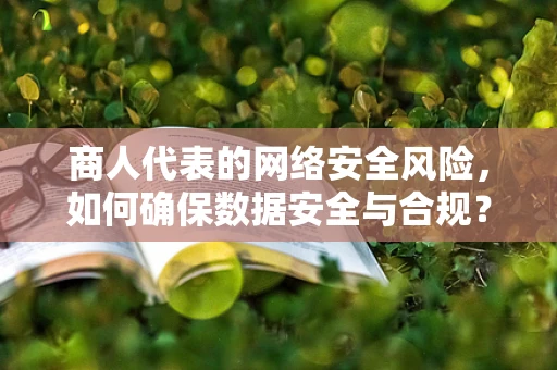 商人代表的网络安全风险，如何确保数据安全与合规？