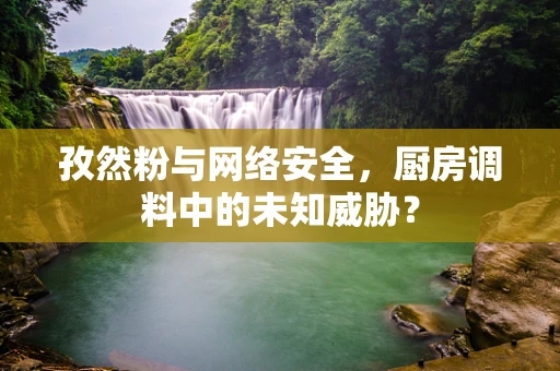 孜然粉与网络安全，厨房调料中的未知威胁？