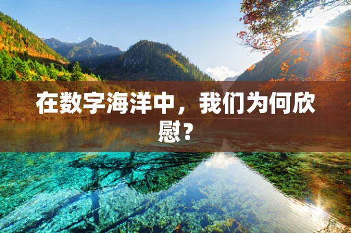 在数字海洋中，我们为何欣慰？