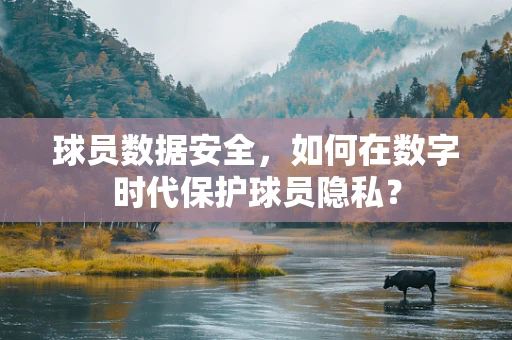 球员数据安全，如何在数字时代保护球员隐私？