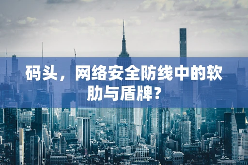 码头，网络安全防线中的软肋与盾牌？