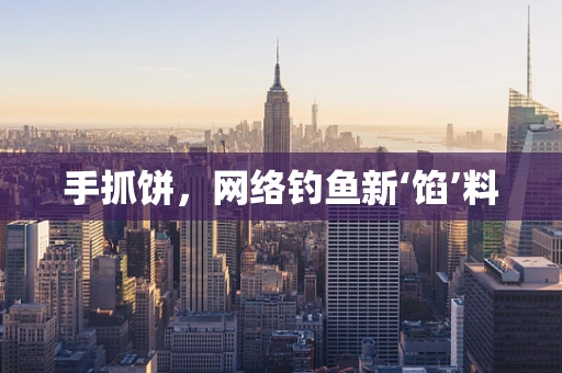 手抓饼，网络钓鱼新‘馅’料