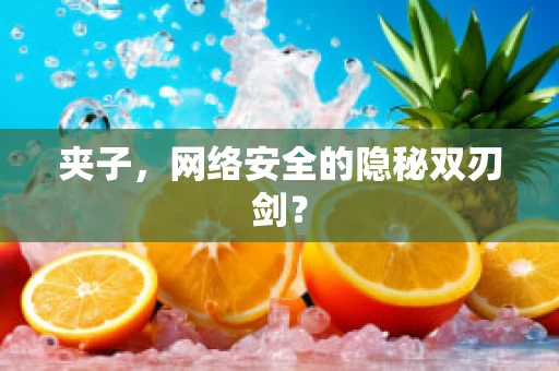夹子，网络安全的隐秘双刃剑？