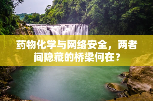 药物化学与网络安全，两者间隐藏的桥梁何在？
