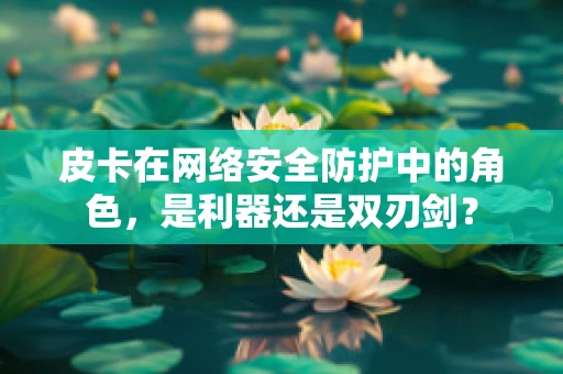 皮卡在网络安全防护中的角色，是利器还是双刃剑？