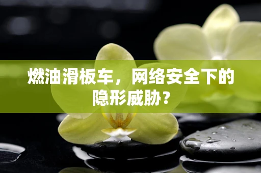燃油滑板车，网络安全下的隐形威胁？