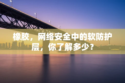 橡胶，网络安全中的软防护层，你了解多少？