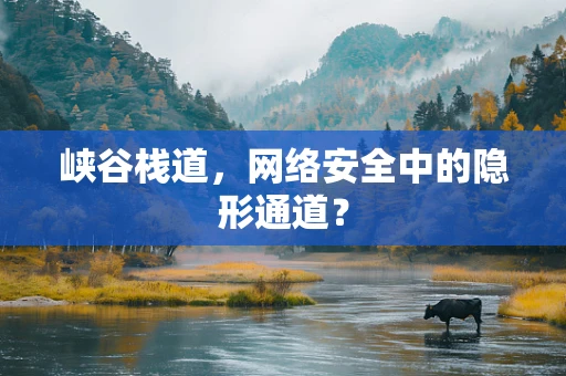 峡谷栈道，网络安全中的隐形通道？