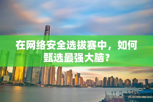在网络安全选拔赛中，如何甄选最强大脑？