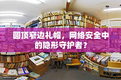 圆顶窄边礼帽，网络安全中的隐形守护者？