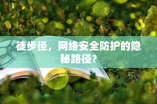 徒步径，网络安全防护的隐秘路径？