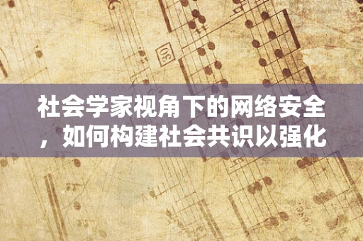 社会学家视角下的网络安全，如何构建社会共识以强化网络防护？