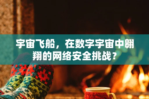 宇宙飞船，在数字宇宙中翱翔的网络安全挑战？
