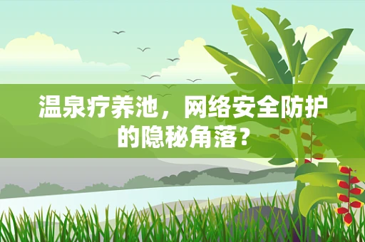 温泉疗养池，网络安全防护的隐秘角落？