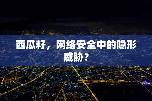 西瓜籽，网络安全中的隐形威胁？