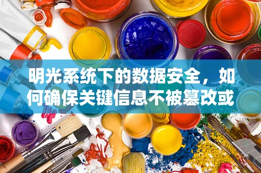 明光系统下的数据安全，如何确保关键信息不被篡改或泄露？