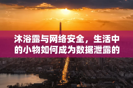 沐浴露与网络安全，生活中的小物如何成为数据泄露的软肋？