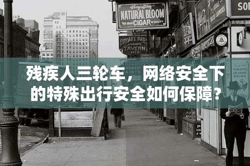 残疾人三轮车，网络安全下的特殊出行安全如何保障？
