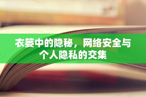 衣篓中的隐秘，网络安全与个人隐私的交集